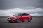 Seat Leon Cupra 300 2017 года (WW)